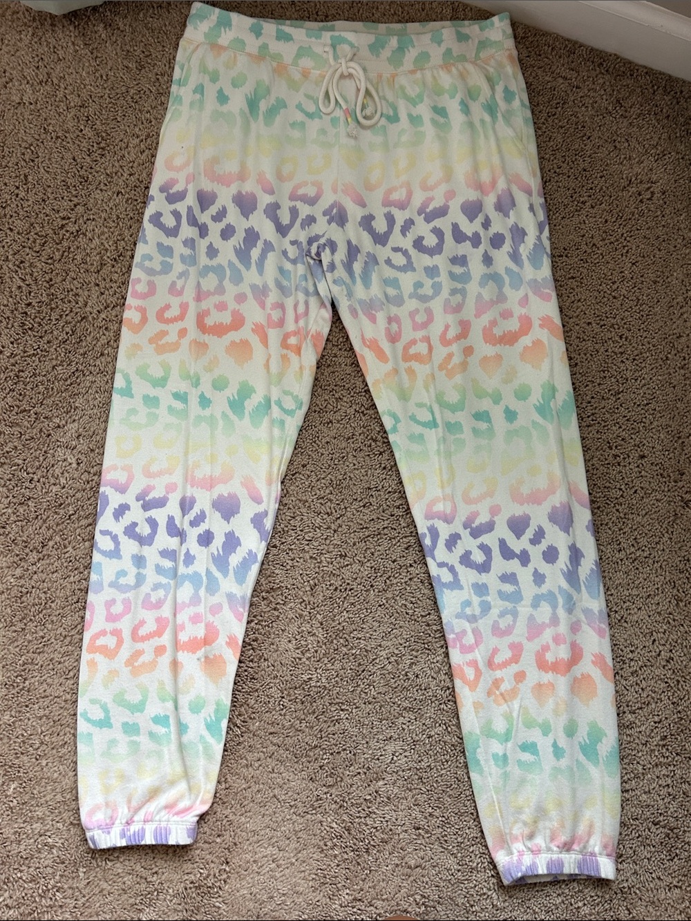 P.J. Salvage Pastel Rainbow Leopard Joggers